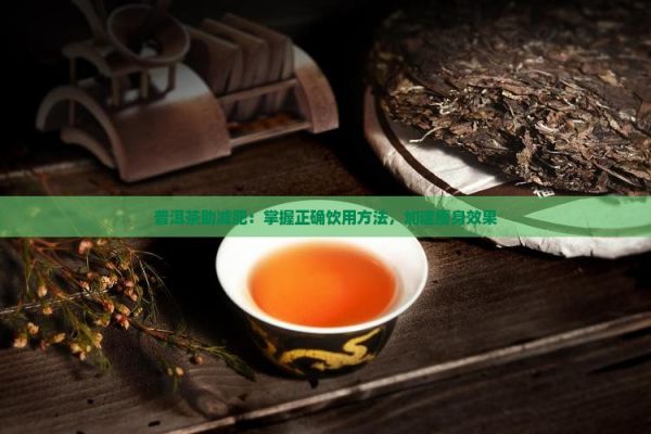 普洱茶助減肥：掌握正確飲用方法，加速瘦身效果