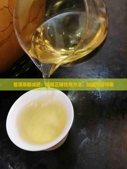 普洱茶助減肥：掌握正確飲用方法，加速瘦身效果