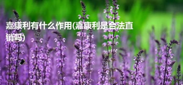 嘉康利有什么作用(嘉康利是合法直销吗)