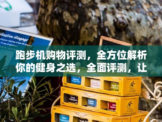 跑步機(jī)購(gòu)物評(píng)測(cè)，全方位解析你的健身之選，全面評(píng)測(cè)，讓你跑出健康與活力的跑步機(jī)推薦
