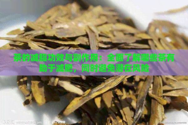 茶的減脂功效與副作用：全面了解哪些茶有助于減肥，同時(shí)避免潛在風(fēng)險(xiǎn)