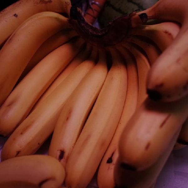 水果蔬菜减肥餐 排毒又营养