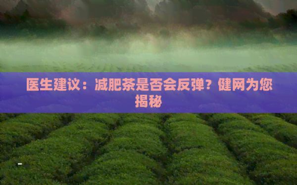 醫(yī)生建議：減肥茶是否會反彈？健網(wǎng)為您揭秘