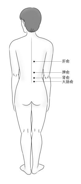 背部穴位