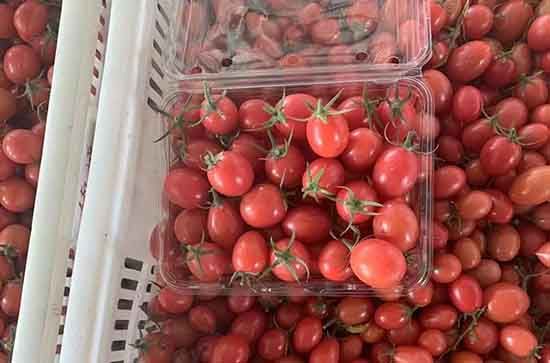 豆腐和西紅柿的做法