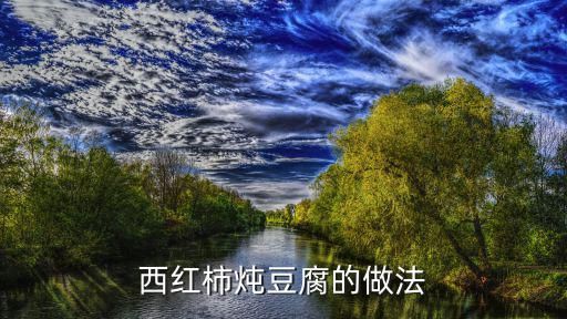 西紅柿燉豆腐的做法