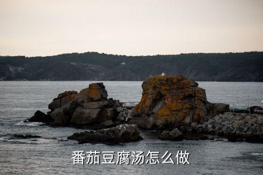 番茄豆腐湯怎么做