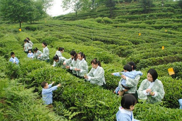 孩子暑假參加夏令營一般多少錢