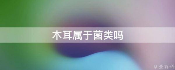 木耳屬于菌類嗎