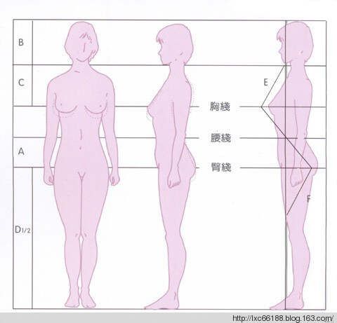 女性標(biāo)準(zhǔn)身材比例對照表！大家來對照一下自己的身材 - 理睬 - .