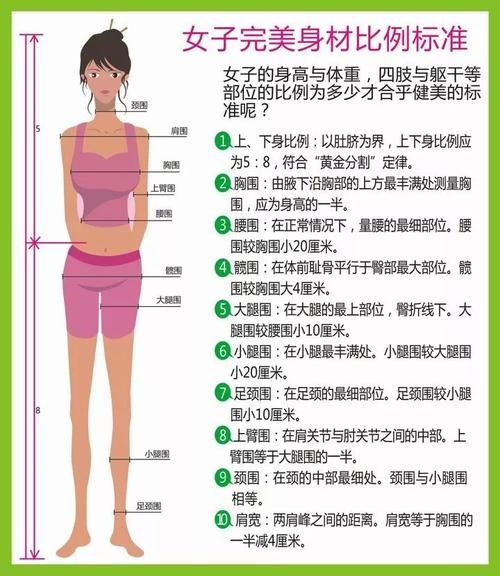 身材比例多少算标准