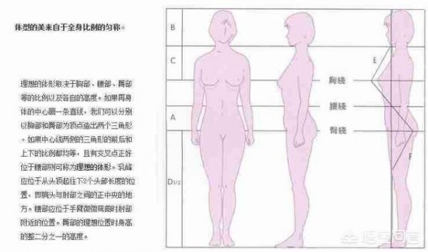 你覺得女生的身高多少才是最好的？