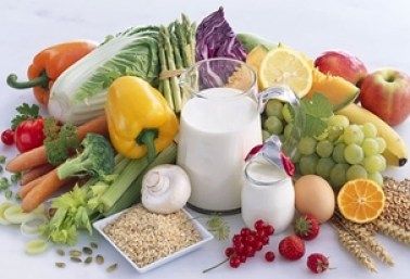 蛋奶素食：素食的灵活性