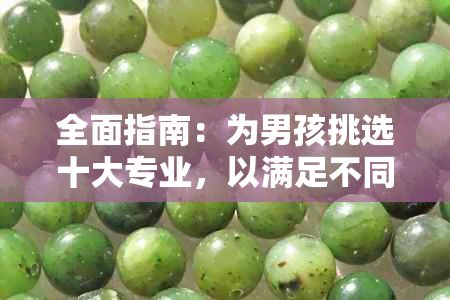 全面指南：為男孩挑選十大專業(yè)，以滿足不同興趣和職業(yè)發(fā)展需求