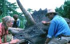 拳打舔狗排斥大片，于是電影行業(yè)涼了