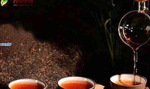 普洱茶對(duì)拉肚子的緩解作用及可能適用人群分析