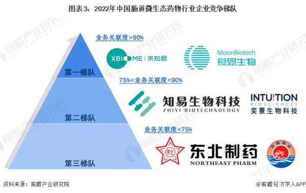 圖表3：2022年中國腸道微生態(tài)藥物行業(yè)企業(yè)競爭梯隊