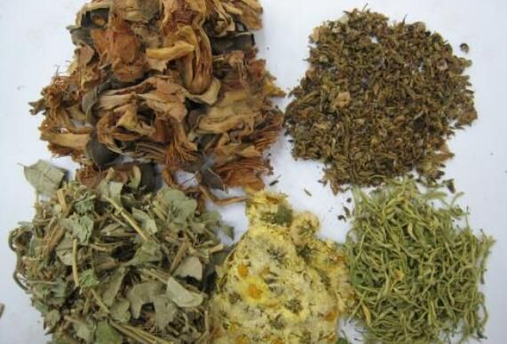 什么人不適合喝五花茶 喝五花茶的禁忌