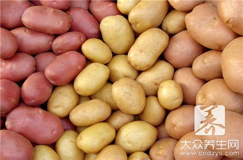  什么食物纖維素含量高