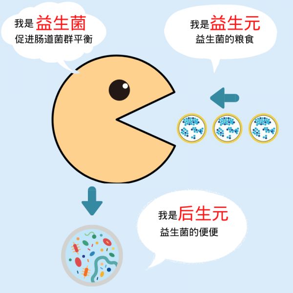 益生菌、益生元、后生元的區(qū)別，一個比喻秒懂！