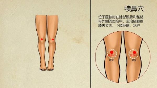 中醫(yī)拔罐減肥遠(yuǎn)離7個(gè)飲食壞習(xí)慣