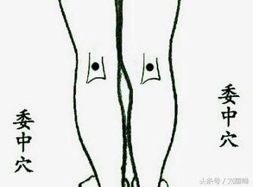 秋天養(yǎng)生重在祛濕健脾，三招實現(xiàn)幫你實現(xiàn)！