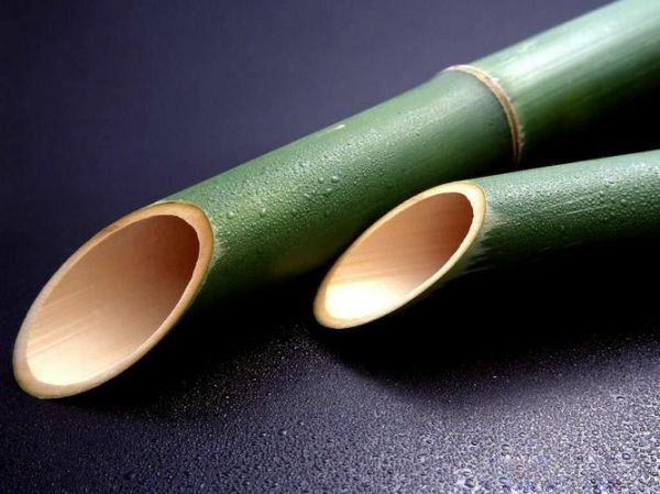竹筒拔罐減肥的好處和壞處：真相大揭秘(1)