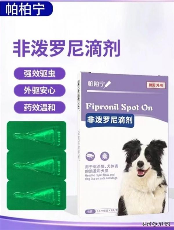 8 種市面常見(jiàn)犬類(lèi)驅(qū)蟲(chóng)藥，對(duì)抗 10 多種狗狗寄生蟲(chóng)，驅(qū)蟲(chóng)效果大盤(pán)點(diǎn)