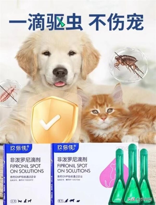 8 種市面常見(jiàn)犬類(lèi)驅(qū)蟲(chóng)藥，對(duì)抗 10 多種狗狗寄生蟲(chóng)，驅(qū)蟲(chóng)效果大盤(pán)點(diǎn)