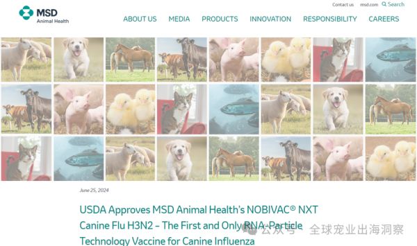 新进展！默沙东犬用新驱虫药、犬流感及狂犬病新疫苗要上市了