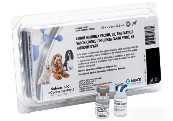 新进展！默沙东犬用新驱虫药、犬流感及狂犬病新疫苗要上市了