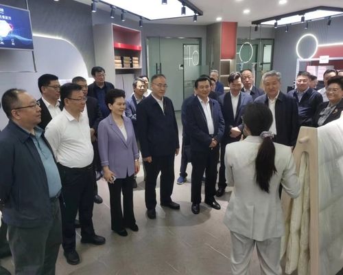 全國政協(xié)調研