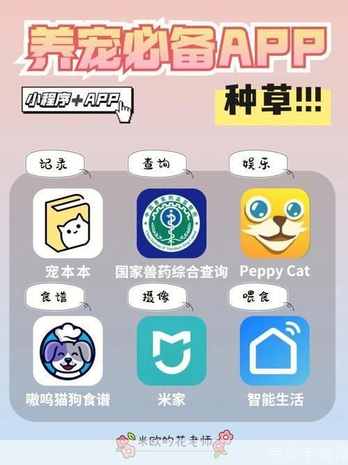 猫咪软件app的详细使用指南