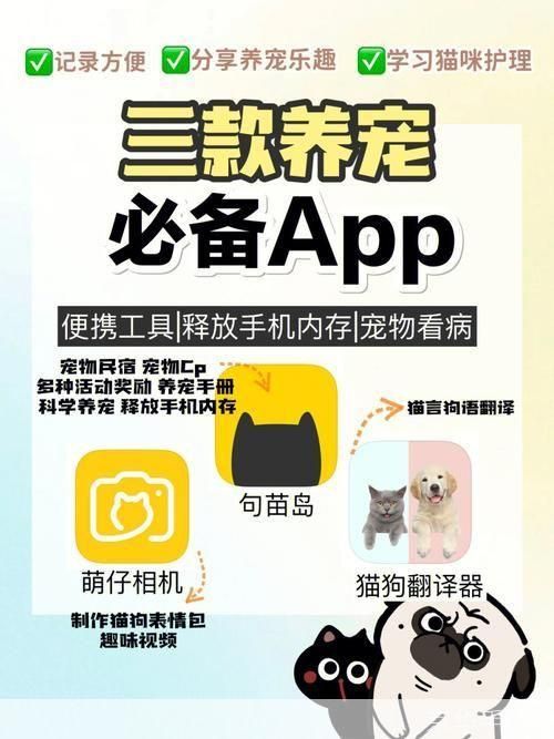 猫咪软件app的详细使用指南