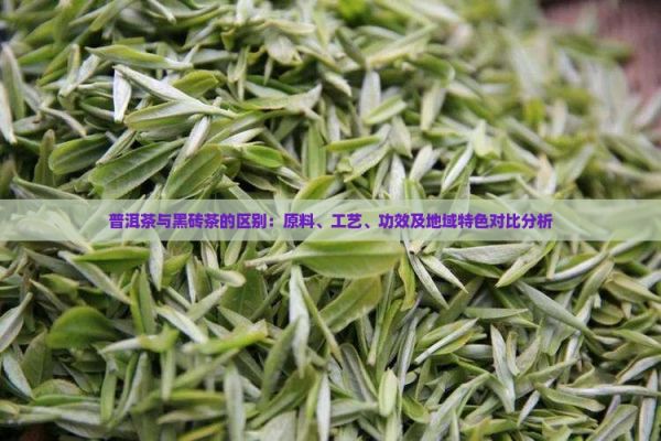 普洱茶與黑磚茶的區(qū)別：原料、工藝、功效及地域特色對比分析