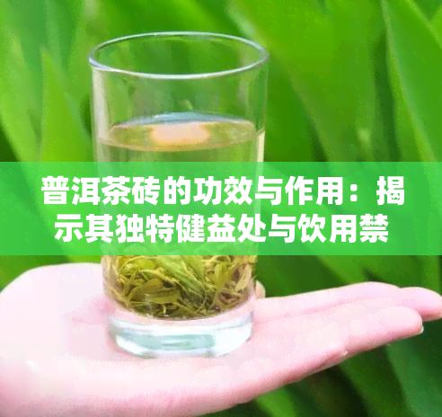 普洱茶磚的功效與作用：揭示其獨(dú)特健益處與飲用禁忌