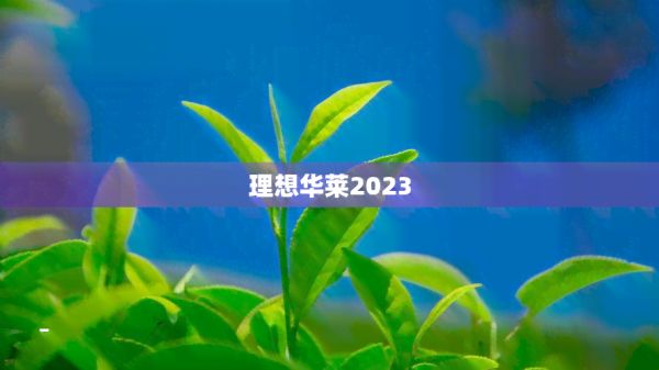 理想華萊2023