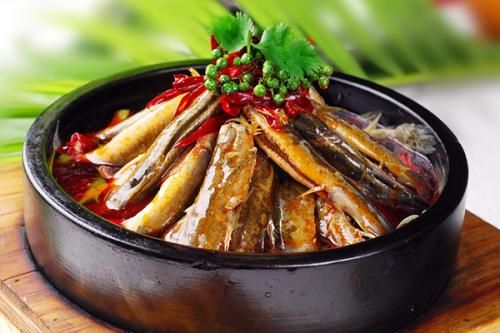 泥鰍的搭配禁忌 這樣吃泥鰍不健康