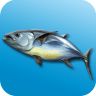 釣魚(yú)日記