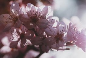 詳細(xì)的運(yùn)動(dòng)計(jì)劃表