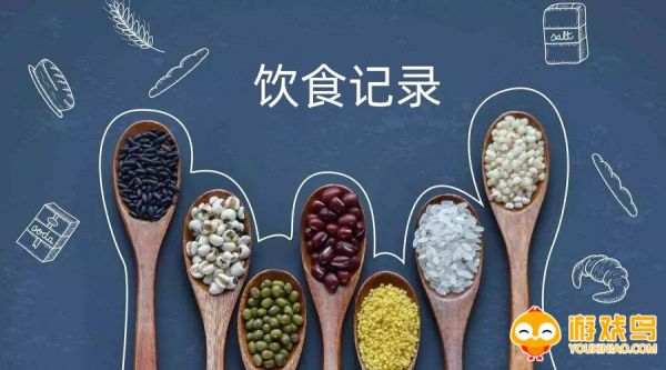 飲食記錄軟件哪個最好用 飲食記錄軟件推薦