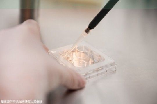 〖鹽城十大試管嬰兒私立醫(yī)院排名,附醫(yī)院名單一覽!;鹽城試管嬰兒私立醫(yī)院十大排名一覽揭秘〗