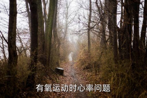 有氧运动时心率问题