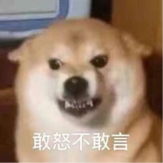 圖片 6