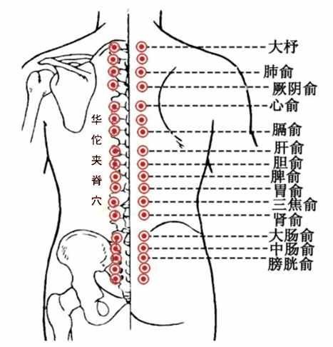 自我醫(yī)療保?。喊喂摒B(yǎng)生常用方法，讓身體充滿活力！