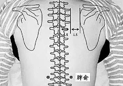 要散寒祛濕，不要錯(cuò)過(guò)夏天拔罐的好時(shí)機(jī)（7個(gè)穴位）