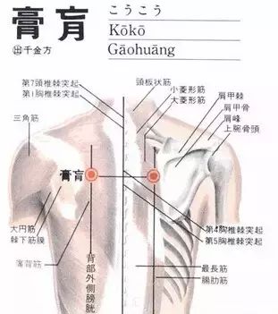 要散寒祛濕，不要錯(cuò)過(guò)夏天拔罐的好時(shí)機(jī)（7個(gè)穴位）