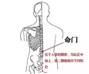 要散寒祛濕，不要錯(cuò)過(guò)夏天拔罐的好時(shí)機(jī)（7個(gè)穴位）