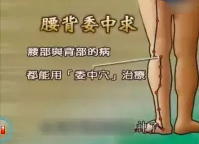 要散寒祛濕，不要錯(cuò)過(guò)夏天拔罐的好時(shí)機(jī)（7個(gè)穴位）