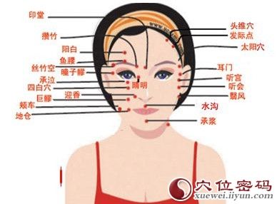 面部穴位圖解大全
